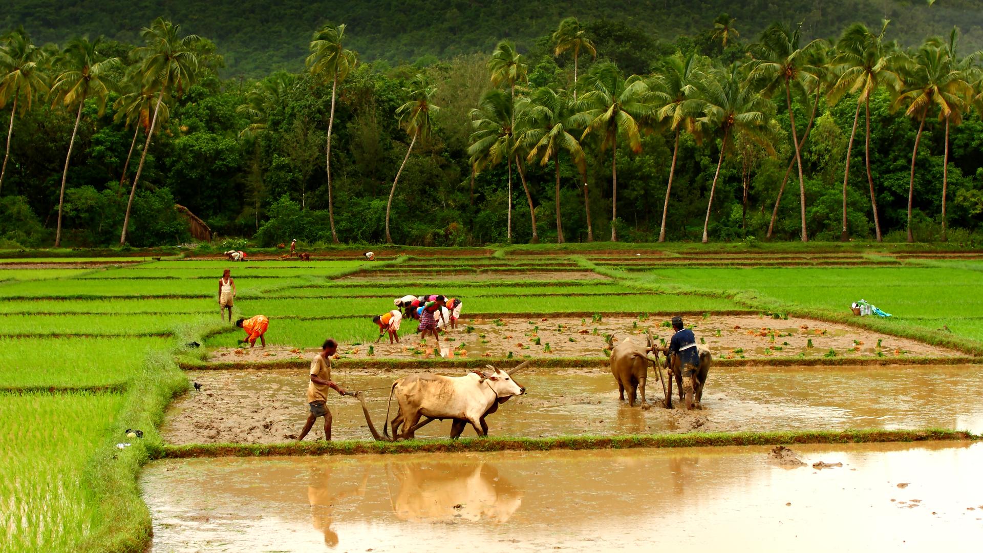 karwar