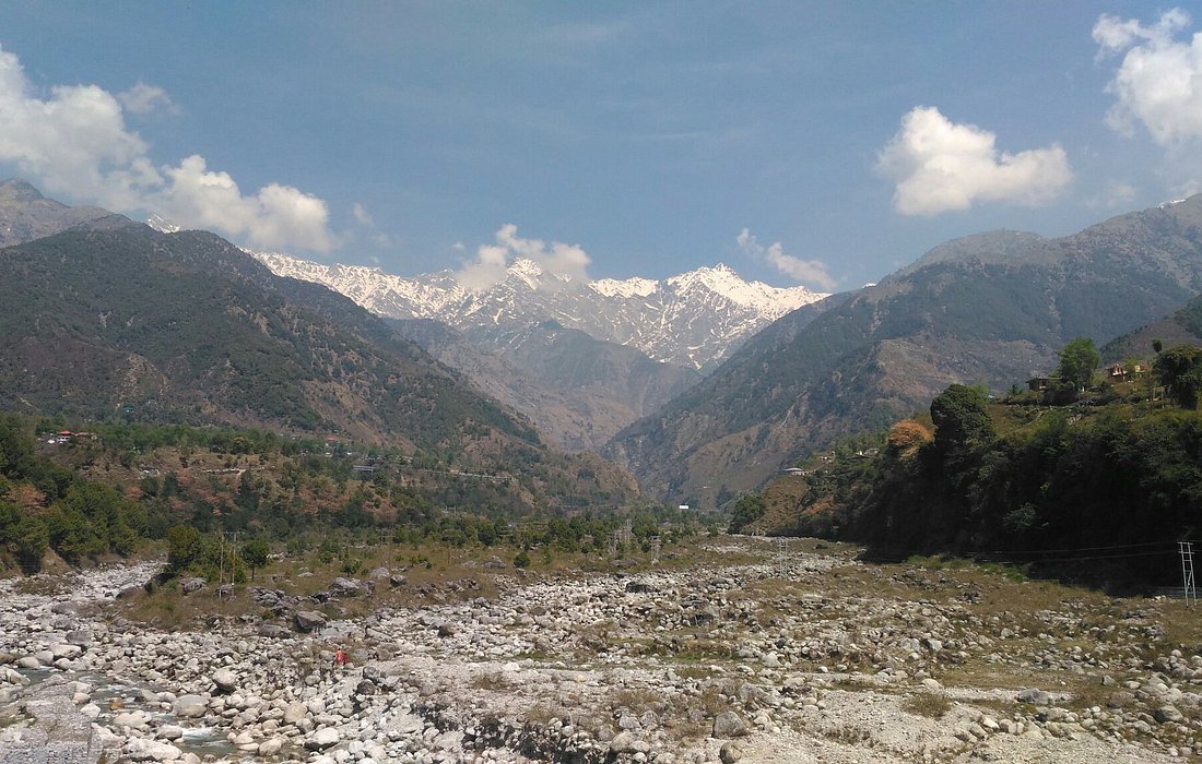palampur